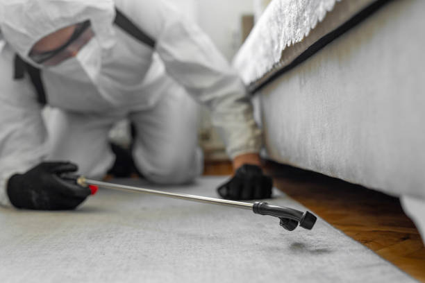 Professional Pest Control technician working in Oildale, CA