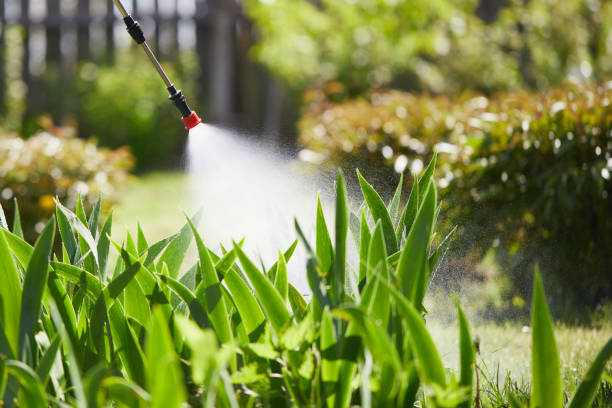 24/7 Emergency Pest Control experts in Oildale, CA